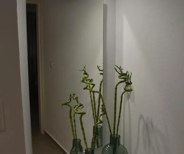 Despina's House Διαμέρισμα Σκιάθος Πόλη