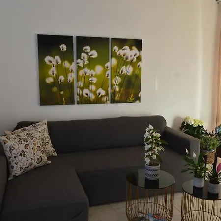 Despina's House Apartment Skiathos Town